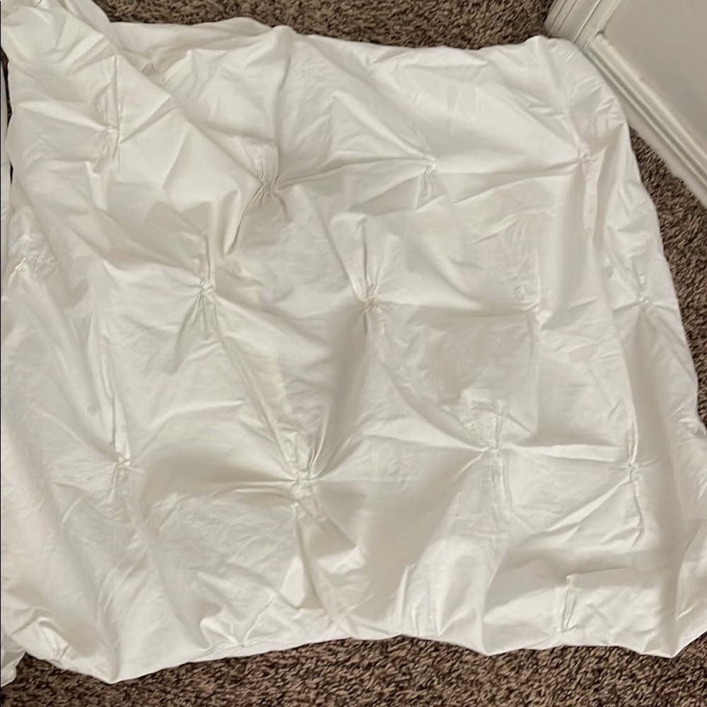 West Elm Organic Cotton Euro Shams